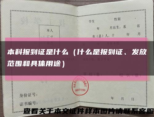 本科报到证是什么（什么是报到证、发放范围和具体用途）缩略图
