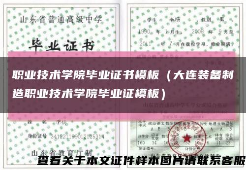 职业技术学院毕业证书模板（大连装备制造职业技术学院毕业证模板）缩略图