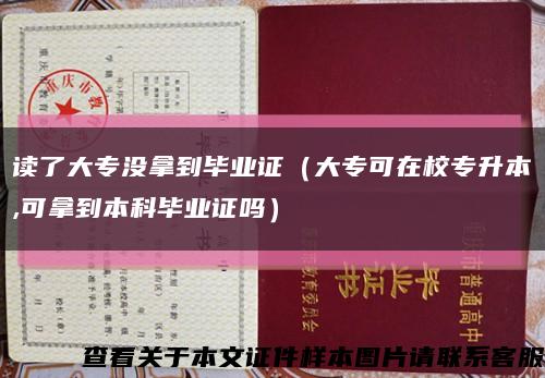 读了大专没拿到毕业证（大专可在校专升本,可拿到本科毕业证吗）缩略图