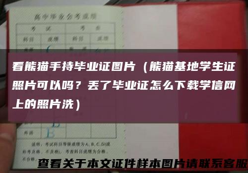 看熊猫手持毕业证图片（熊猫基地学生证照片可以吗？丢了毕业证怎么下载学信网上的照片洗）缩略图