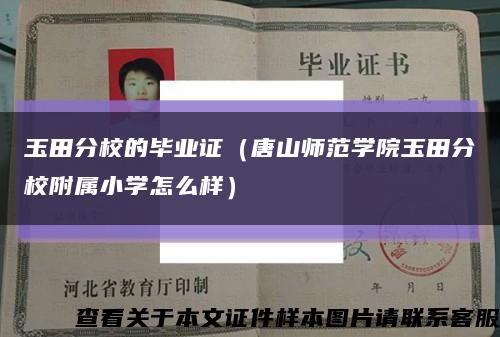 玉田分校的毕业证（唐山师范学院玉田分校附属小学怎么样）缩略图