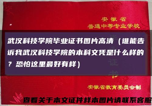 武汉科技学院毕业证书图片高清（谁能告诉我武汉科技学院的本科文凭是什么样的？恐怕这里最好有样）缩略图