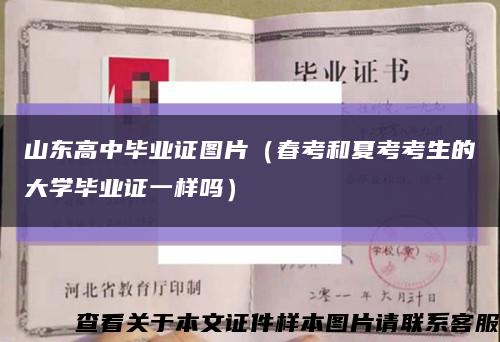 山东高中毕业证图片（春考和夏考考生的大学毕业证一样吗）缩略图