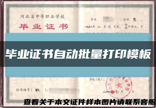 毕业证书自动批量打印模板缩略图