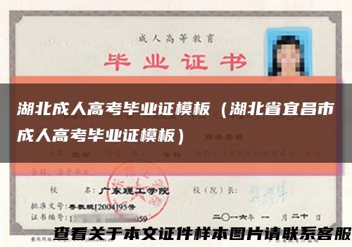 湖北成人高考毕业证模板（湖北省宜昌市成人高考毕业证模板）缩略图