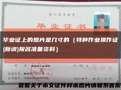 毕业证上的照片是几寸的（特种作业操作证(新训)报名准备资料）缩略图