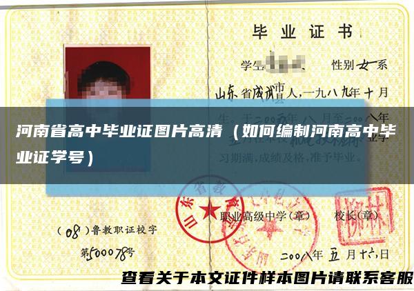 河南省高中毕业证图片高清（如何编制河南高中毕业证学号）缩略图