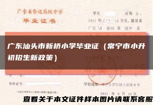 广东汕头市新桥小学毕业证（常宁市小升初招生新政策）缩略图