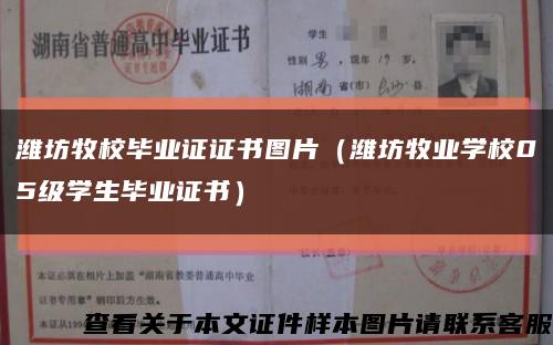 潍坊牧校毕业证证书图片（潍坊牧业学校05级学生毕业证书）缩略图