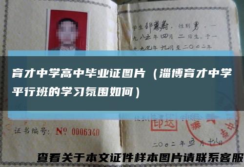 育才中学高中毕业证图片（淄博育才中学平行班的学习氛围如何）缩略图