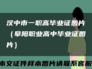 汉中市一职高毕业证图片（阜阳职业高中毕业证图片）缩略图