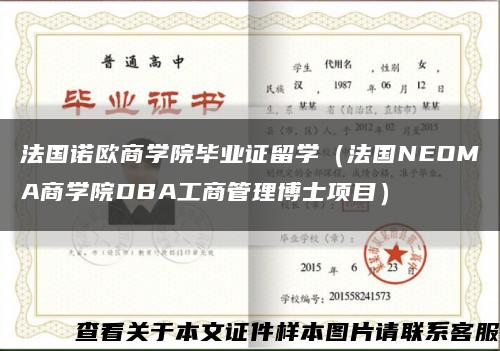 法国诺欧商学院毕业证留学（法国NEOMA商学院DBA工商管理博士项目）缩略图