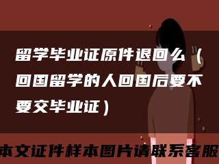 留学毕业证原件退回么（回国留学的人回国后要不要交毕业证）缩略图