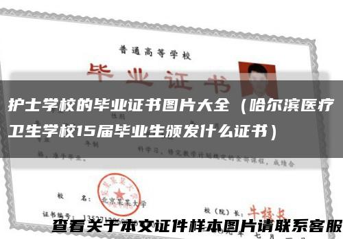 护士学校的毕业证书图片大全（哈尔滨医疗卫生学校15届毕业生颁发什么证书）缩略图