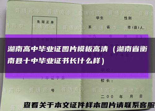 湖南高中毕业证图片模板高清（湖南省衡南县十中毕业证书长什么样）缩略图