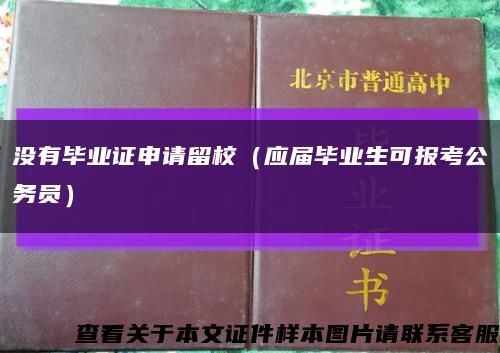 没有毕业证申请留校（应届毕业生可报考公务员）缩略图