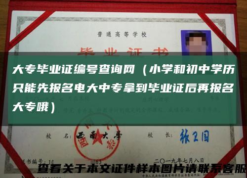 大专毕业证编号查询网（小学和初中学历只能先报名电大中专拿到毕业证后再报名大专哦）缩略图