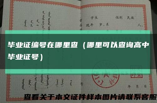 毕业证编号在哪里查（哪里可以查询高中毕业证号）缩略图