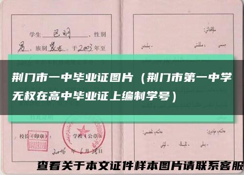荆门市一中毕业证图片（荆门市第一中学无权在高中毕业证上编制学号）缩略图
