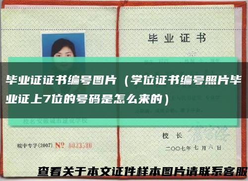 毕业证证书编号图片（学位证书编号照片毕业证上7位的号码是怎么来的）缩略图