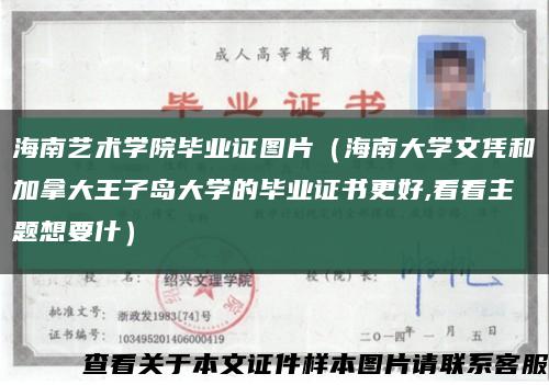 海南艺术学院毕业证图片（海南大学文凭和加拿大王子岛大学的毕业证书更好,看看主题想要什）缩略图