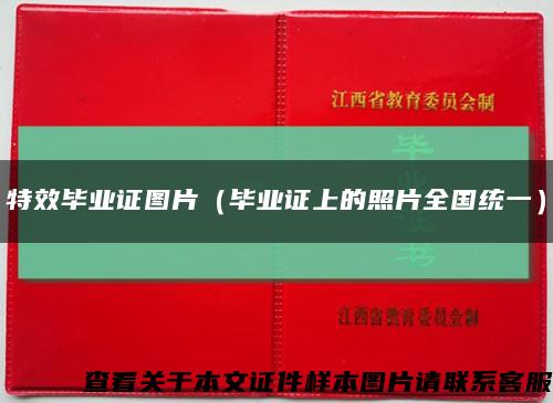 特效毕业证图片（毕业证上的照片全国统一）缩略图