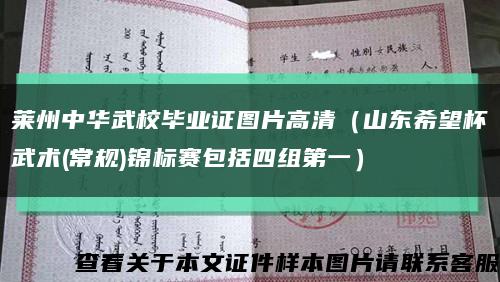 莱州中华武校毕业证图片高清（山东希望杯武术(常规)锦标赛包括四组第一）缩略图