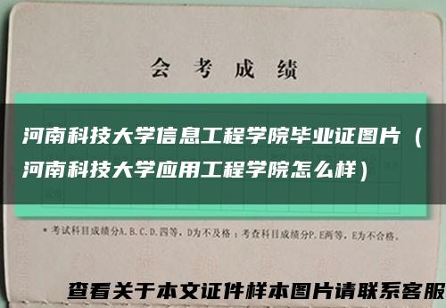 河南科技大学信息工程学院毕业证图片（河南科技大学应用工程学院怎么样）缩略图