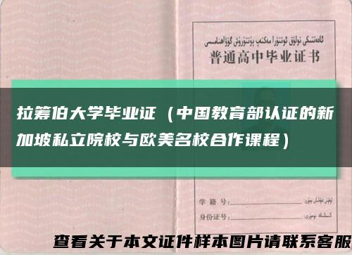 拉筹伯大学毕业证（中国教育部认证的新加坡私立院校与欧美名校合作课程）缩略图