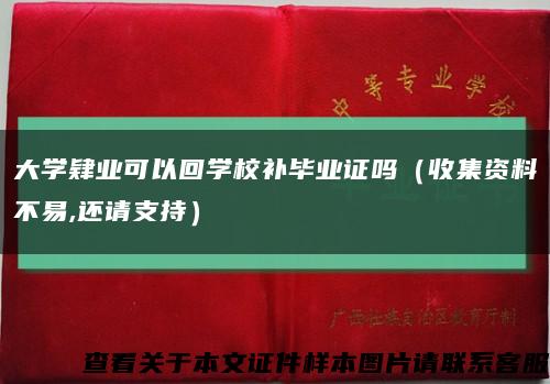 大学肄业可以回学校补毕业证吗（收集资料不易,还请支持）缩略图