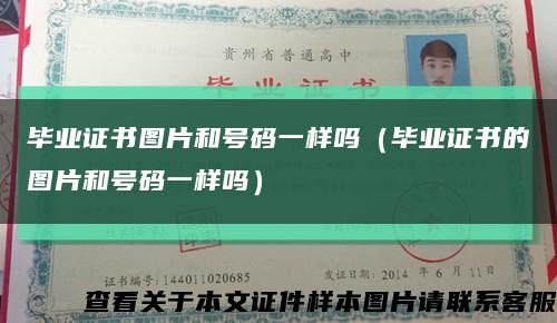毕业证书图片和号码一样吗（毕业证书的图片和号码一样吗）缩略图