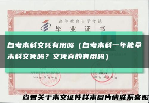 自考本科文凭有用吗（自考本科一年能拿本科文凭吗？文凭真的有用吗）缩略图