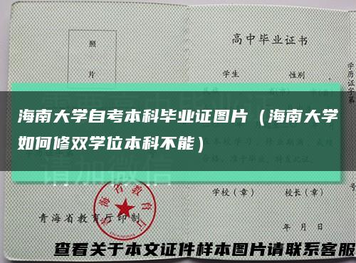 海南大学自考本科毕业证图片（海南大学如何修双学位本科不能）缩略图