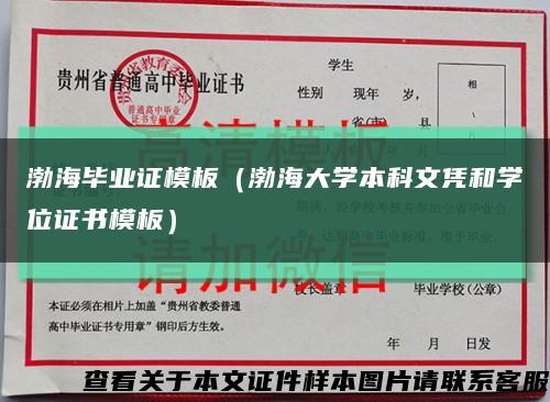 渤海毕业证模板（渤海大学本科文凭和学位证书模板）缩略图