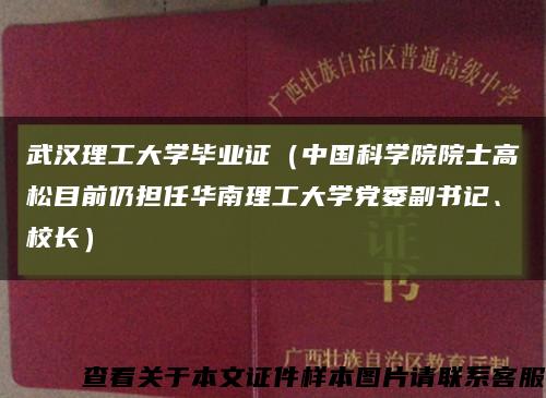 武汉理工大学毕业证（中国科学院院士高松目前仍担任华南理工大学党委副书记、校长）缩略图