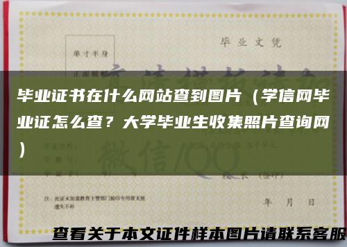 毕业证书在什么网站查到图片（学信网毕业证怎么查？大学毕业生收集照片查询网）缩略图