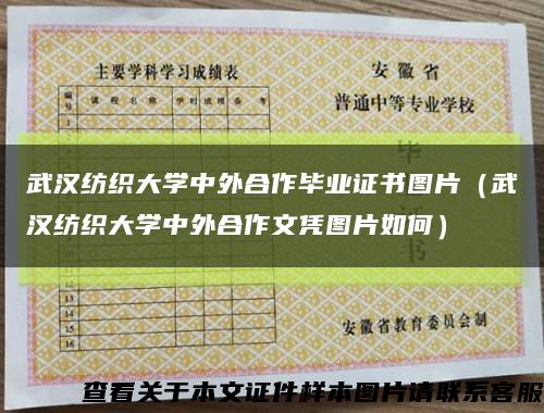 武汉纺织大学中外合作毕业证书图片（武汉纺织大学中外合作文凭图片如何）缩略图