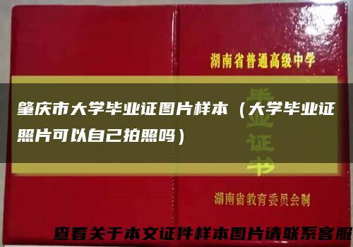 肇庆市大学毕业证图片样本（大学毕业证照片可以自己拍照吗）缩略图