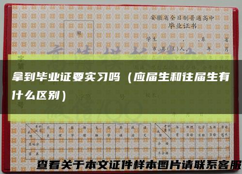 拿到毕业证要实习吗（应届生和往届生有什么区别）缩略图