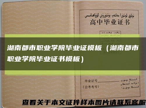 湖南都市职业学院毕业证模板（湖南都市职业学院毕业证书模板）缩略图