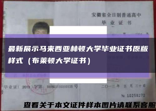 最新展示马来西亚林顿大学毕业证书原版样式（布莱顿大学证书）缩略图