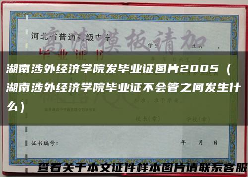 湖南涉外经济学院发毕业证图片2005（湖南涉外经济学院毕业证不会管之间发生什么）缩略图