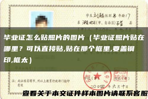 毕业证怎么贴照片的图片（毕业证照片贴在哪里？可以直接贴,贴在那个框里,要盖钢印,框太）缩略图