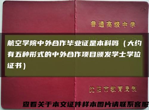 航空学院中外合作毕业证是本科吗（大约有五种形式的中外合作项目颁发学士学位证书）缩略图
