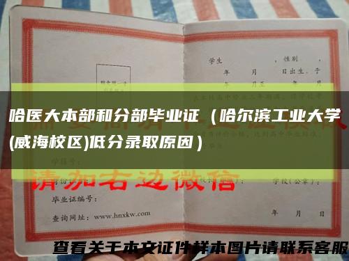 哈医大本部和分部毕业证（哈尔滨工业大学(威海校区)低分录取原因）缩略图