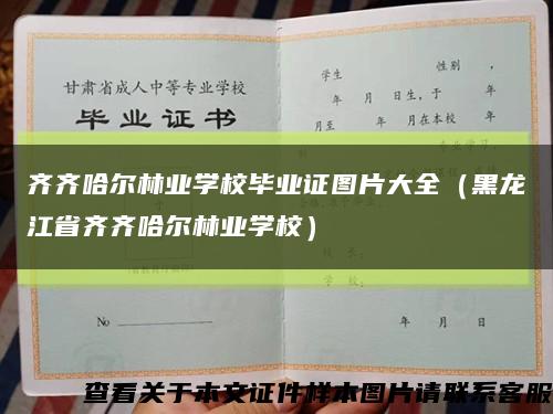 齐齐哈尔林业学校毕业证图片大全（黑龙江省齐齐哈尔林业学校）缩略图