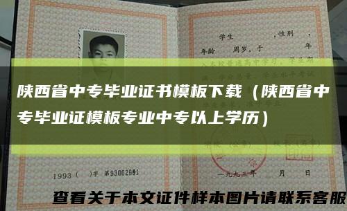 陕西省中专毕业证书模板下载（陕西省中专毕业证模板专业中专以上学历）缩略图
