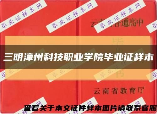 三明漳州科技职业学院毕业证样本缩略图