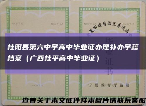 桂阳县第六中学高中毕业证办理补办学籍档案（广西桂平高中毕业证）缩略图