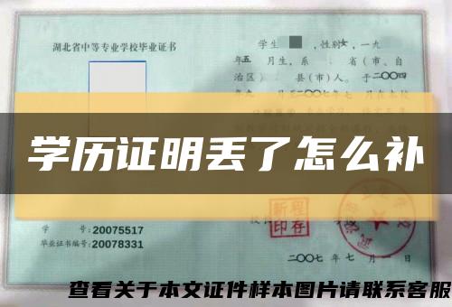 学历证明丢了怎么补缩略图